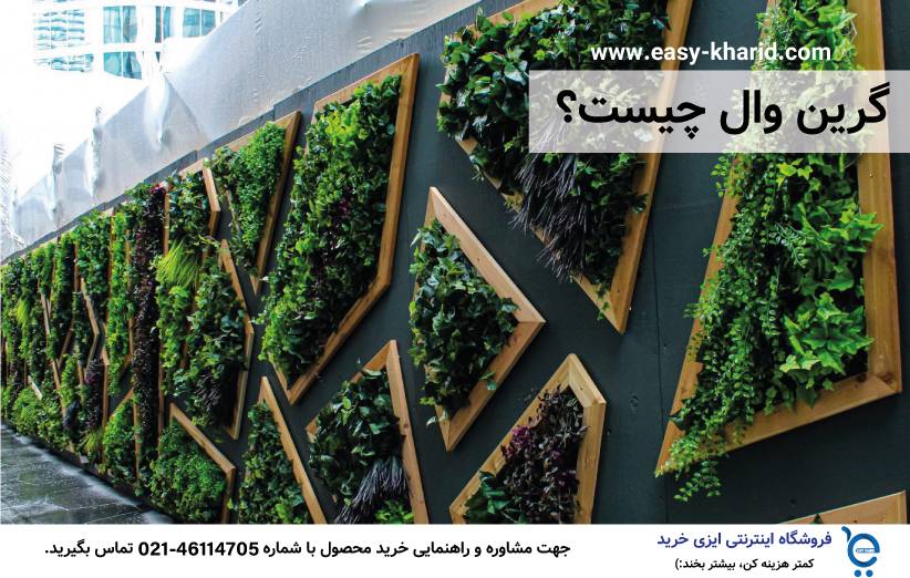 گرین وال چیست 7 - گرین وال چیست