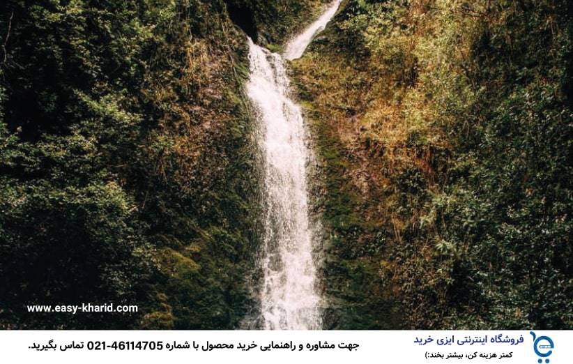 بهترین جنگل برای کمپینگ 2 min - بهترین جنگل برای کمپینگ
