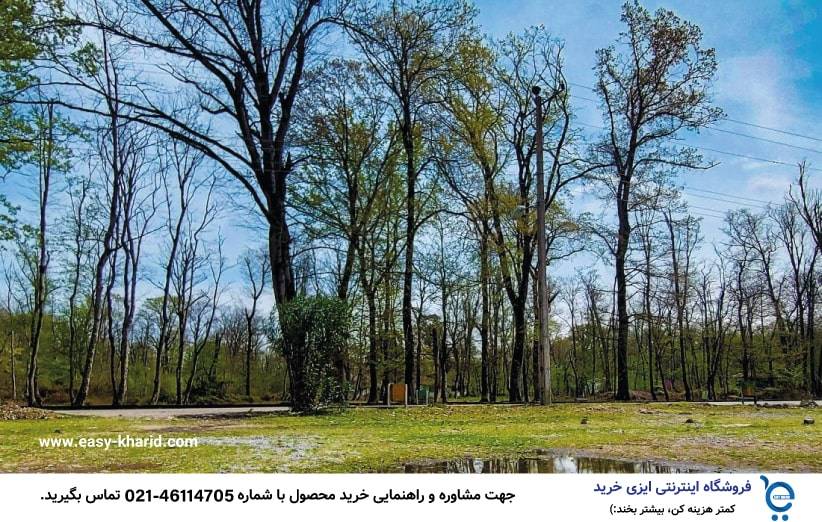 بهترین جنگل برای کمپینگ 3 min 1 - بهترین جنگل برای کمپینگ
