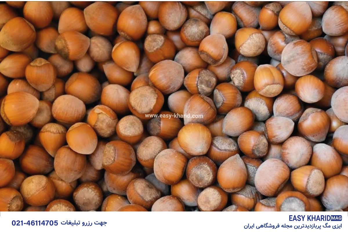 کشور تولید کننده فندق 2 64 - کشور تولید کننده فندق