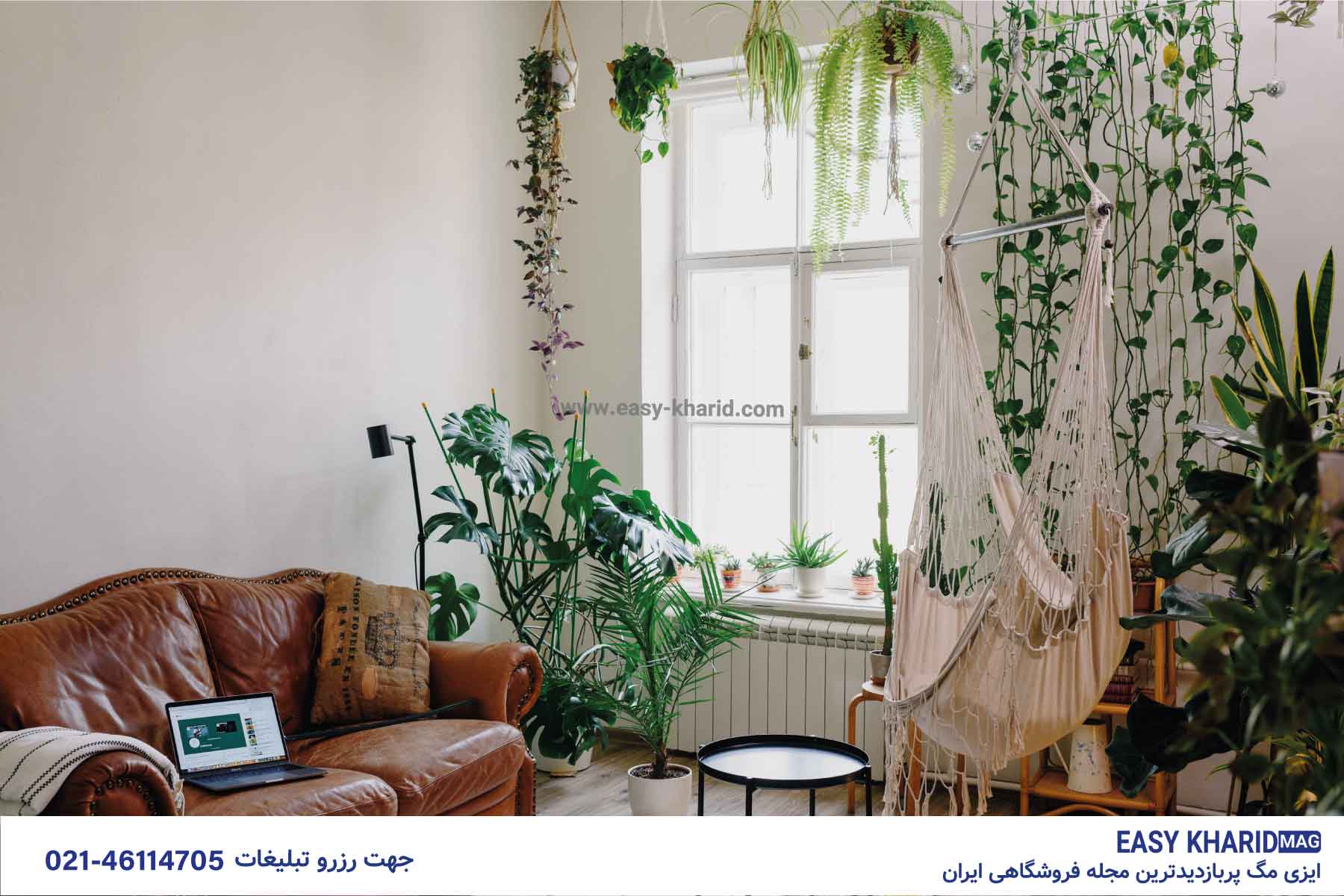 بهترین رنگ برای دیوار خانه IMG 20230510 170535 604 - بهترین رنگ برای دیوار خانه