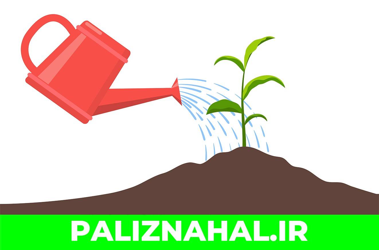 زمان آبیاری نهال آلبالو و گیلاس پس از خرید و کاشت اولیه نهال 10 - زمان آبیاری نهال آلبالو و گیلاس پس از خرید و کاشت اولیه نهال