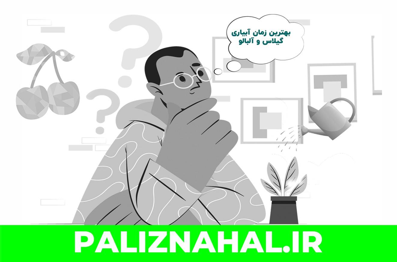 زمان آبیاری نهال آلبالو و گیلاس پس از خرید و کاشت اولیه نهال 50 1 - زمان آبیاری نهال آلبالو و گیلاس پس از خرید و کاشت اولیه نهال