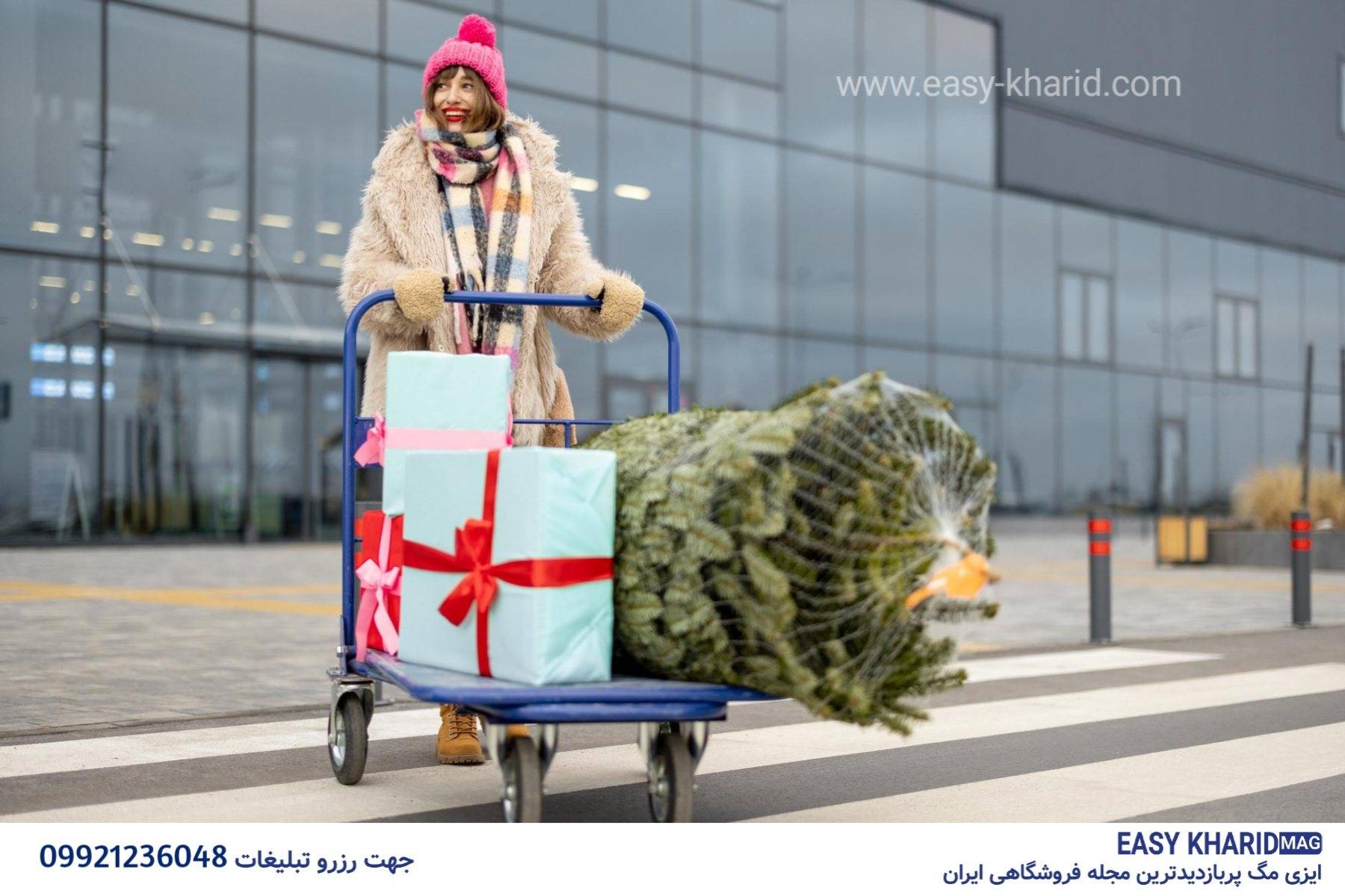 با انواع درخت کریسمس آشنا بشید 20231024 150203 3505 - با انواع درخت کریسمس آشنا بشید